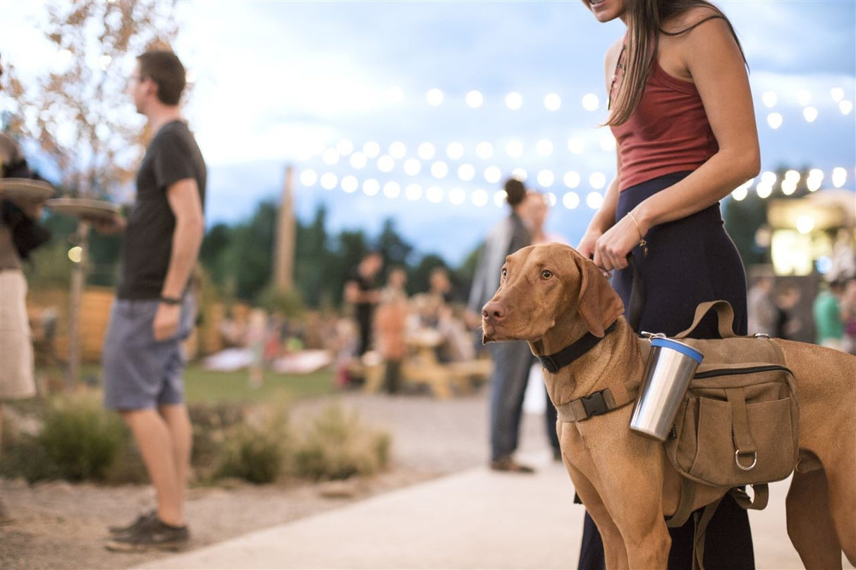 Bicchiere in Acciaio Klean Kanteen Pints 473ml